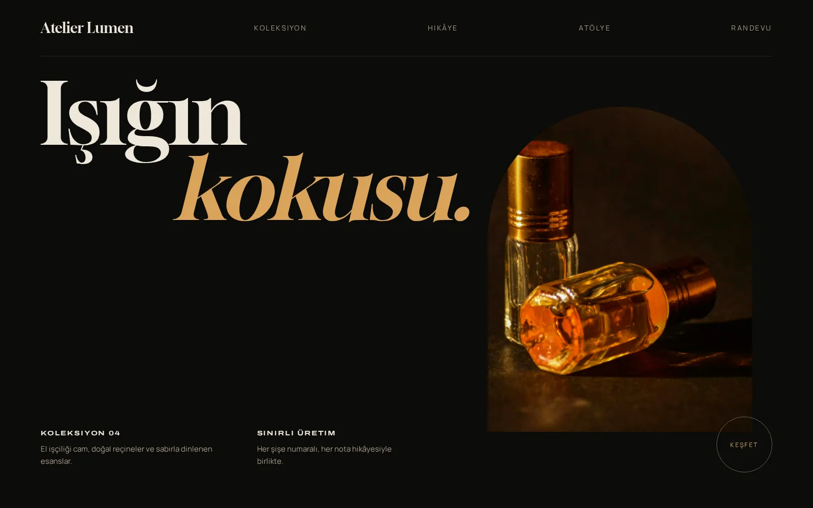 Premium web site tasarımı örnek ekranı